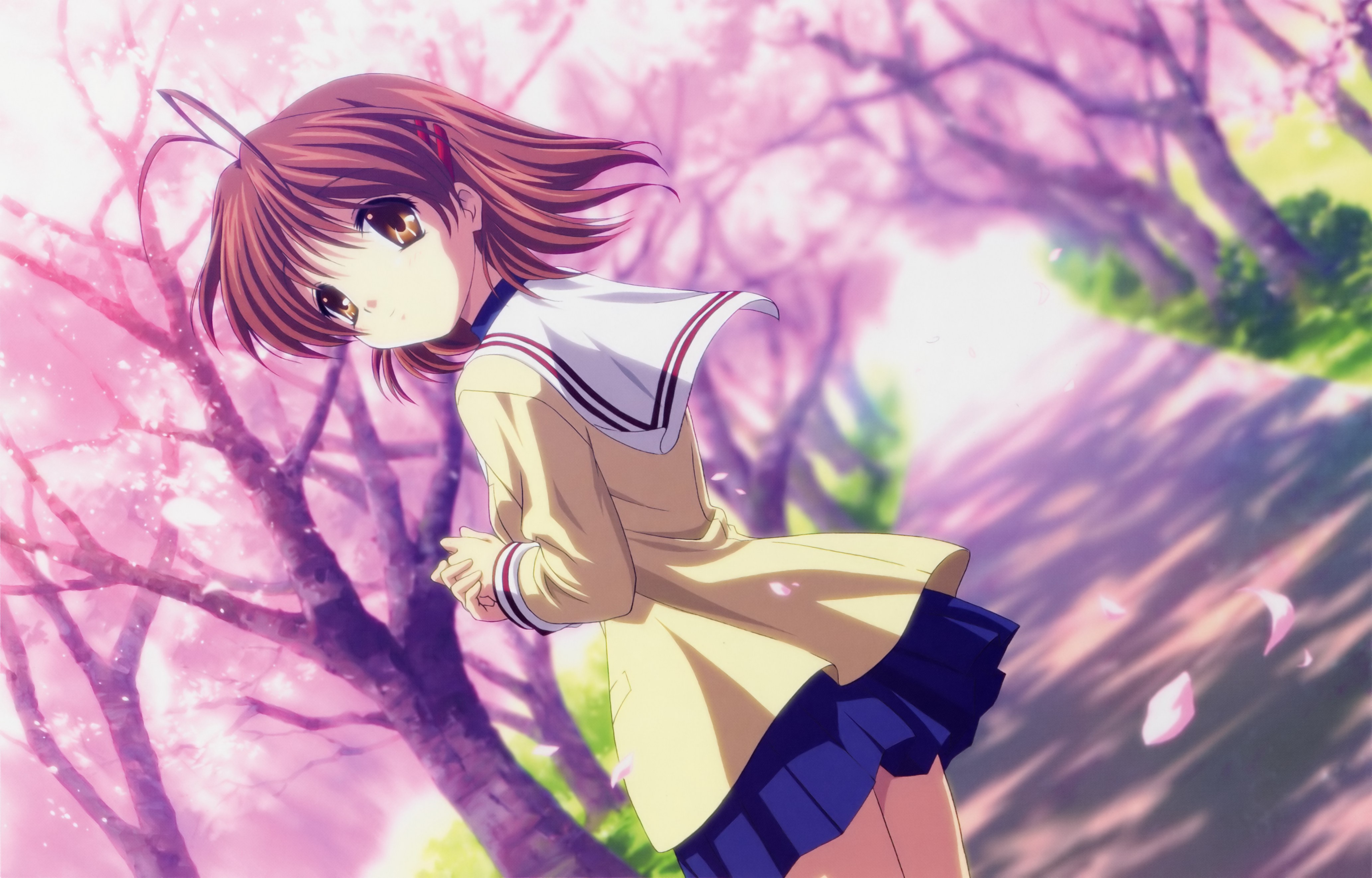 Selen's Blogs